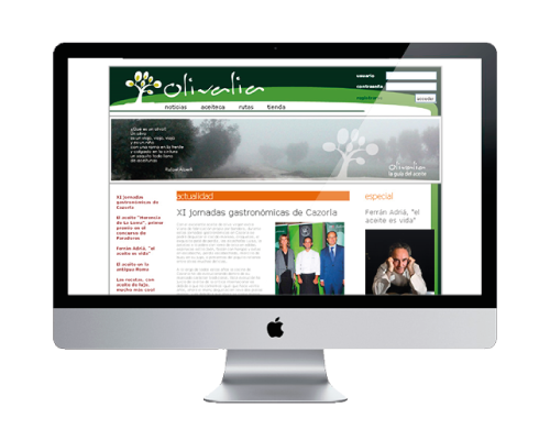olive oil company - corporate website design